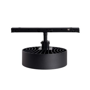 Maxlight N0012N raster 12W Czarny okrągły 3000K On-Off- MICRO11