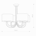 6b5908c52067569285b1d9b04ce861df