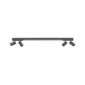 Lampa sufitowa PURE-LINES 6121-13 Paul Neuhaus
