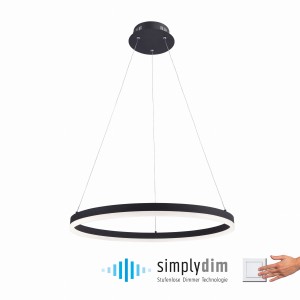 Lampa wisząca TITUS Paul Neuhaus 2382-13