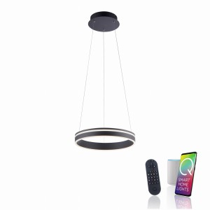 Lampa wisząca Q-VITO Paul Neuhaus 8410-13