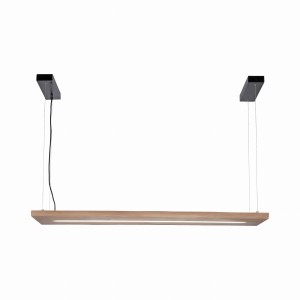 Lampa wisząca PALMA Paul Neuhaus 2625-79
