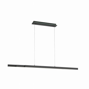 Lampa wisząca Q-ARIAN Paul Neuhaus 2569-13