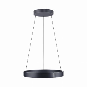 Lampa wisząca PUREE-CLIP Paul Neuhaus 2561-15