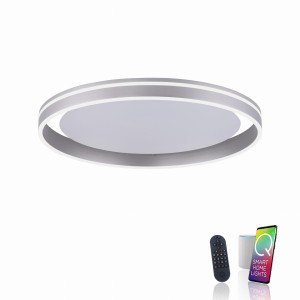 Lampa sufitowa Q-VITO Paul Neuhaus 8416-55