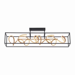 Lampa sufitowa SELINA Paul Neuhaus 6473-18