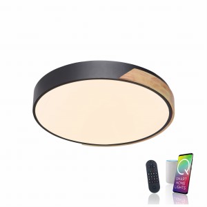 Lampa sufitowa Q-BILA Paul Neuhaus 6071-18