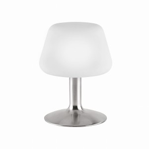 Lampa stołowa TILL Paul Neuhaus 4078-55