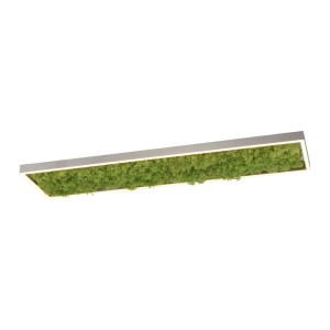 Lampa sufitowa GREEN KNUT 15623-66 Just Light