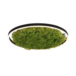 Lampa sufitowa GREEN RITUS 15392-66 Just Light