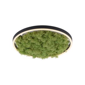 Lampa sufitowa GREEN RITUS 15391-66 Just Light