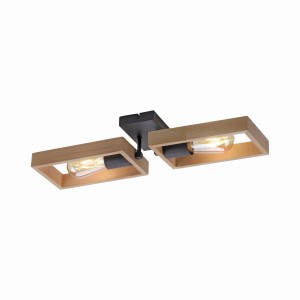 Lampa sufitowa FRANKY Just Light 15657-18