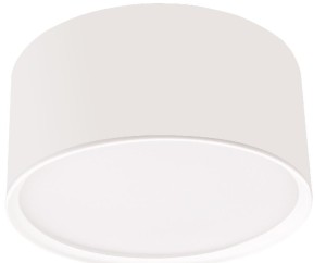 Oprawa natynkowa Kendal  biała LP-6331/1SM WH Light Prestige