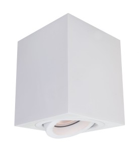 Oprawa natynkowa Lyon 1  biala LP-5881/1SM Light Prestige