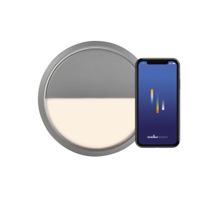 Lampa sufitowa AVASMART kolor Szary IP54 2019016010 NORDLUX