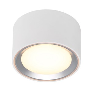 Oczko sufitowe FALLON kolor Biały/Steel IP20 47540132 NORDLUX