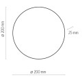 23953