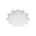 ffa6a38bcfacb3c399cd9fdf4c7057d1
