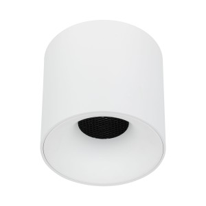 BLAZE WHITE CCT 30W 18161 TK Lighting