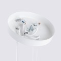 259605