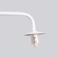 261081
