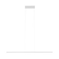 24df422d561df687f01de9fc28592031
