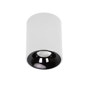 Oprawa natynkowa Tom biała LED CCT LP-4848/1RM WH Light Prestige
