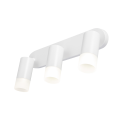69b80f94e24c9cc0a25a8d64266b6212