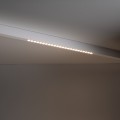 7120ad09e58fd68b4bfd777c6c5d1656