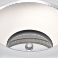 80ec7067938de36e16601ad0b731b541