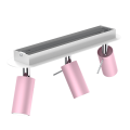 918ef533cfac441ac9f8a9b0c7c7eaeb
