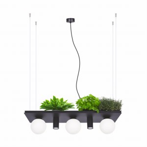 Lampa wisząca PLANT SHELF czarna 5555 Zuma Line