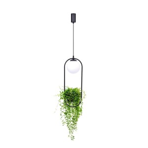 Lampa wisząca PLANT 5003 Zuma Line