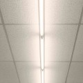 3d093b014288e7f4c293d714f5f95883