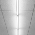 d8bba01ef88694ce8bc68134de50ac68