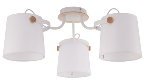 TK Lighting zYRANDOL 3PŁ CLIK 1253