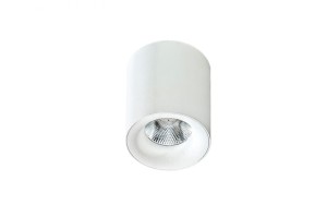 Spot MANE WHITE AZ2845 Azzardo