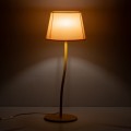 ca49c3d578f262c931f4f37bbb019459